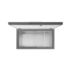 Samsung 287 Liters Chest freezer RI70F29V1GAGH 04